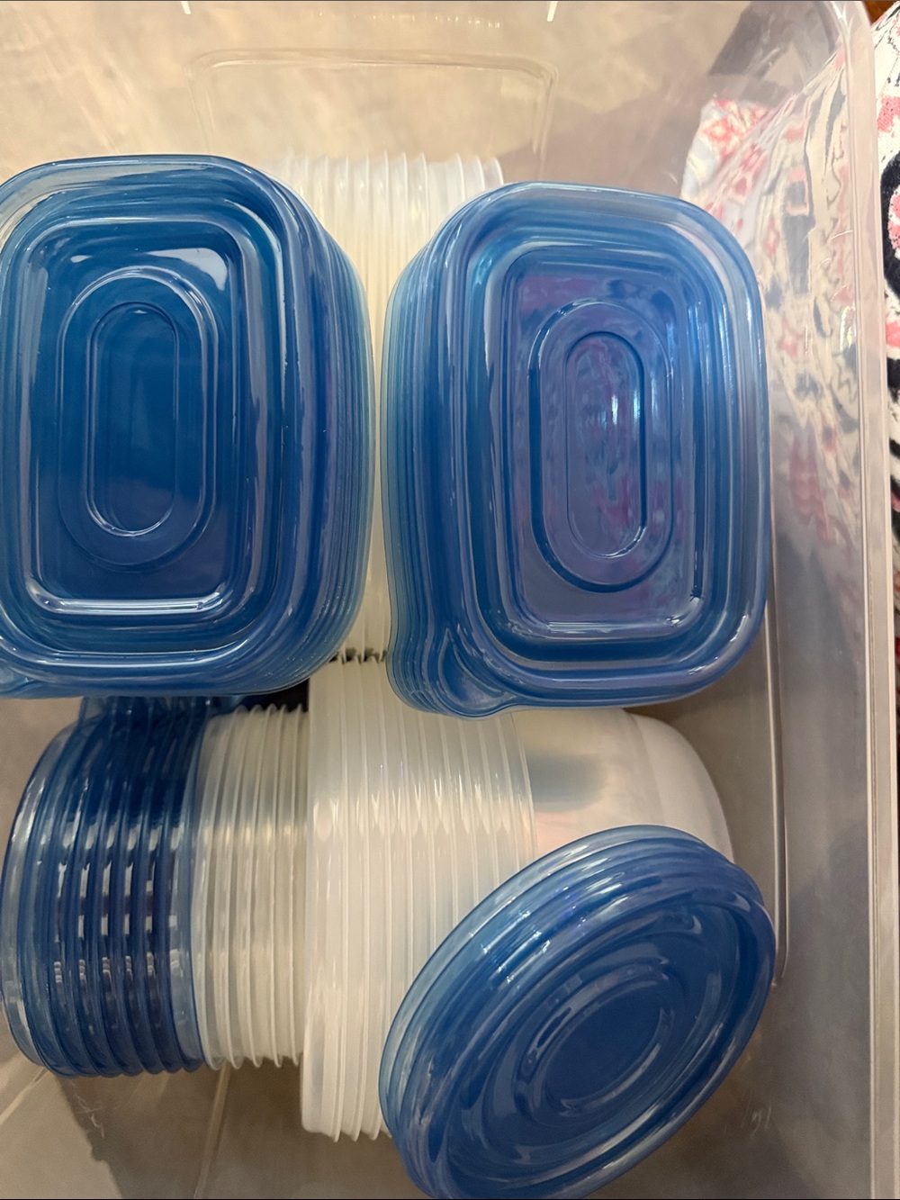 NIB Blue-Lid Food Storage Container Set - BPA-Free Kitchen Organization